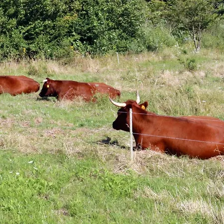 Tannengarten Kaelbertal * Wallhausen (Saxony-Anhalt)